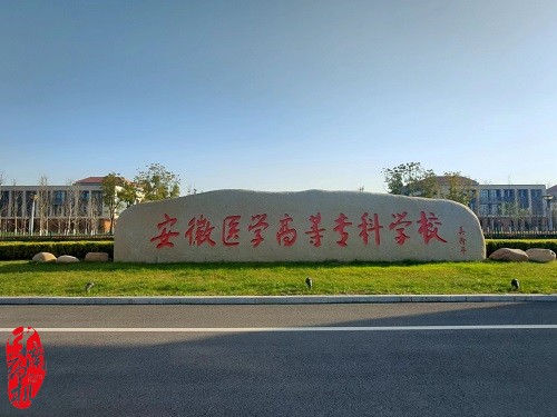 中南藥機︰安徽醫(yī)學高等?？茖W校 “1+X”藥物制劑生產(chǎn)職業(yè)技能設備安裝調(diào)試